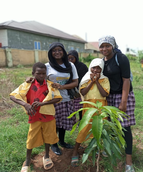 Tree Plantation Image